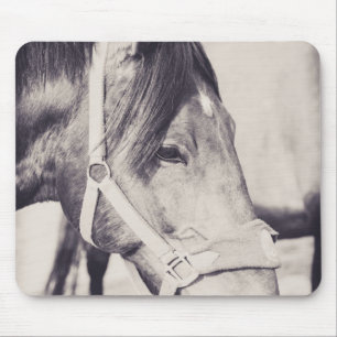 Pferdekopf 009 mousepad