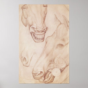 Pferdeköpfe aus dem Vallardi-Album Poster