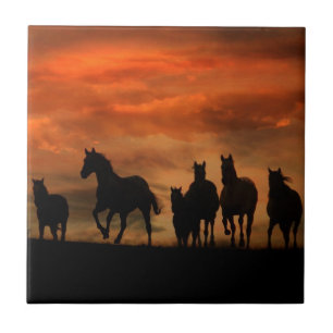 Pferdekunst Fliese