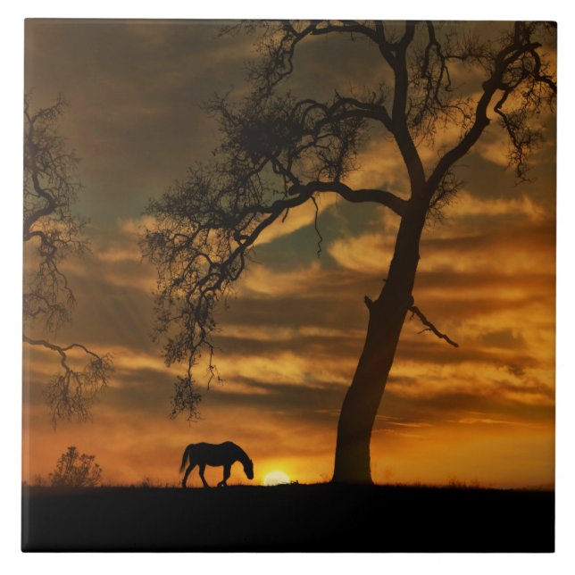 Pferdekunst Fliese (Vorderseite)