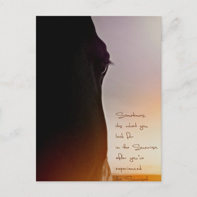 Pferdekunst und inspirierend Zitat Postkarte (Vorderseite)