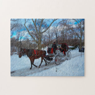 Pferdekutsche im Central Park New York. Puzzle