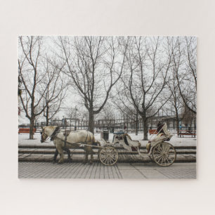 Pferdekutsche Montreal. Puzzle