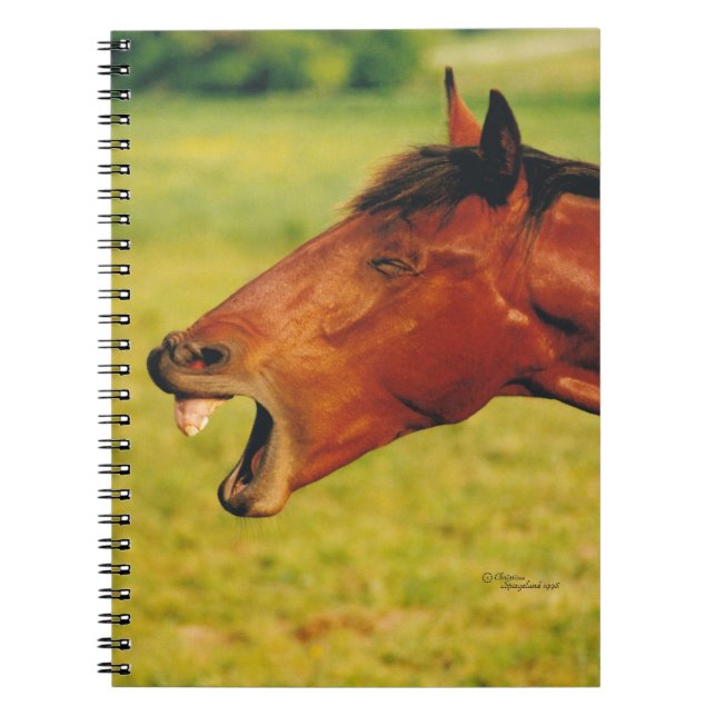PferdelachNotebook Notizblock (Vorderseite)