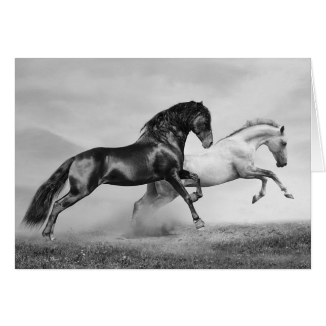 Pferdelauf (Vorderseite (Horizontal))