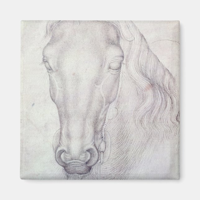 Pferdeleiter Magnet (Vorne)