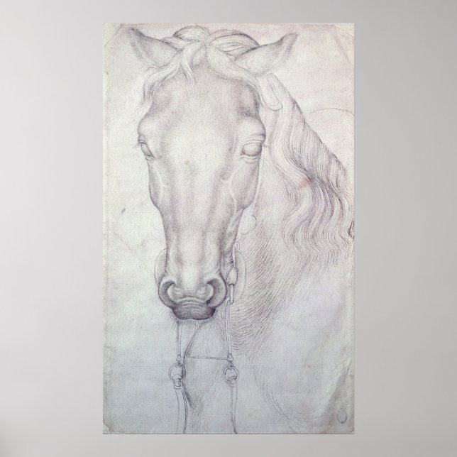 Pferdeleiter Poster (Vorne)