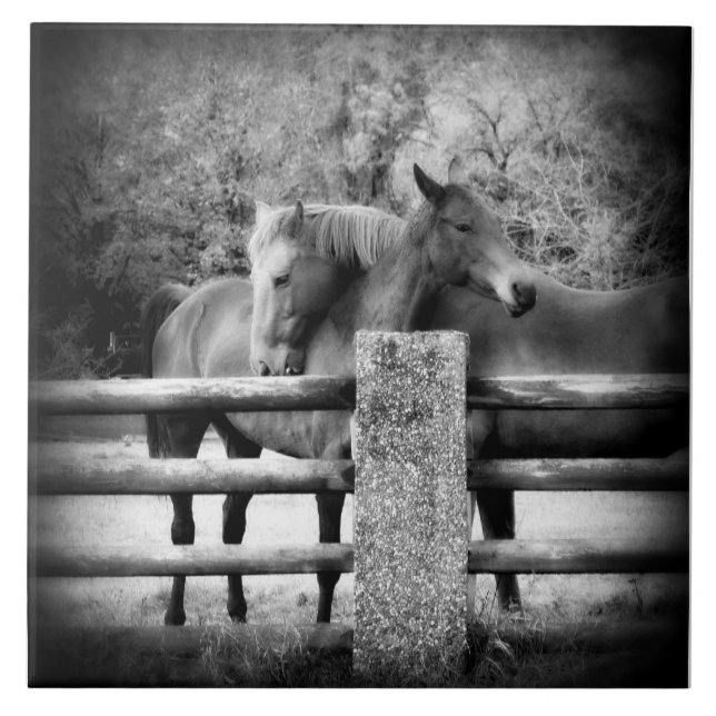 PferdeLiebe - Paar Pferde in liebevoller Umarmung Fliese (Vorderseite)