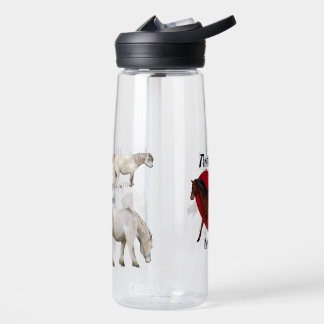 Pferdeliebender Lehrer Trinkflasche