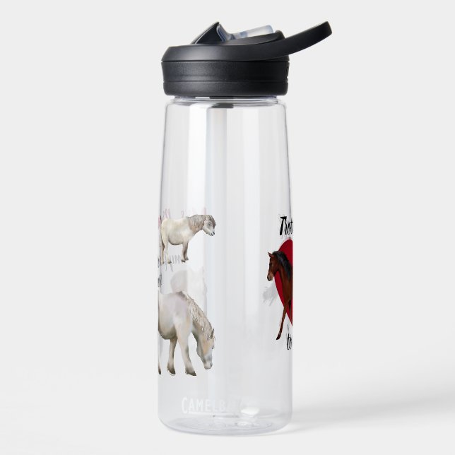 Pferdeliebender Lehrer Trinkflasche (Links)