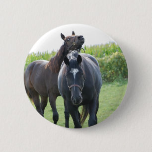 Pferdeliebhaber Button