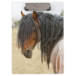 Pferdemähne Klemmbrett