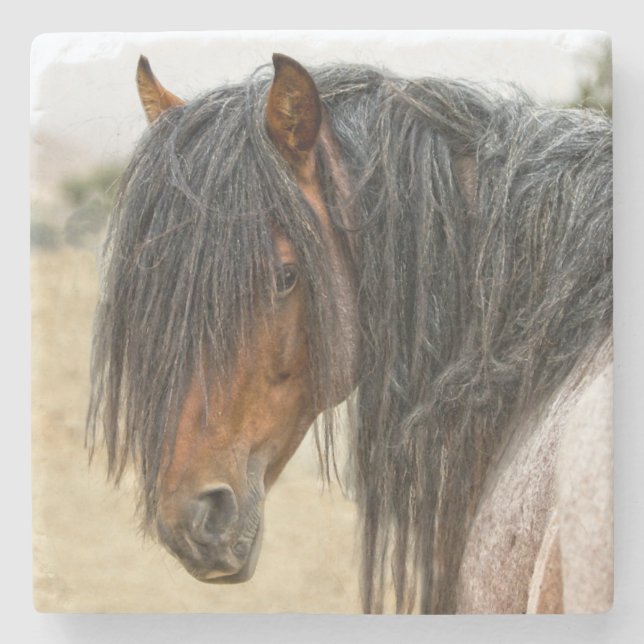 Pferdemähne Steinuntersetzer (Vorderseite)