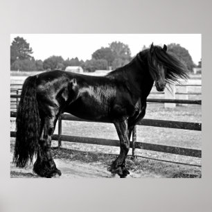 Pferdemodellierung Poster