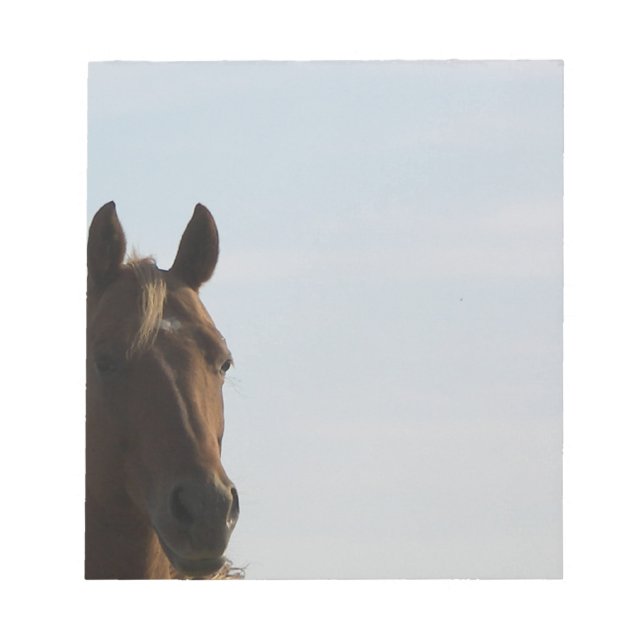 Pferdenotpad Notizblock (Vorderseite)