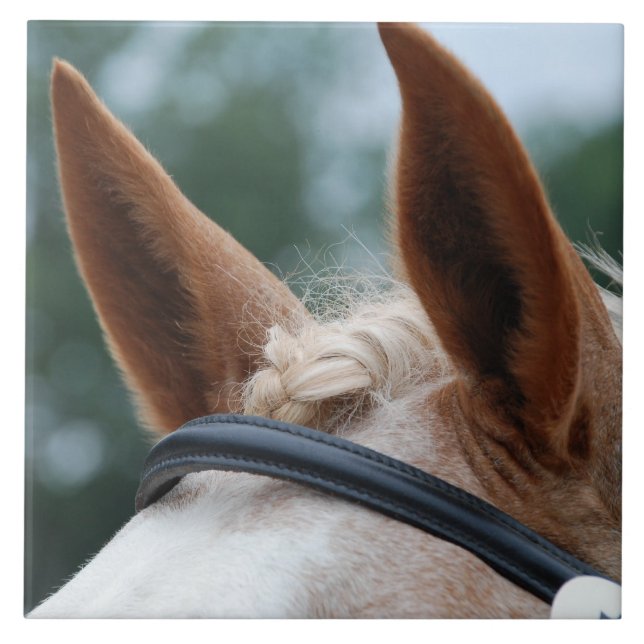 Pferdeohren Fliese (Vorderseite)