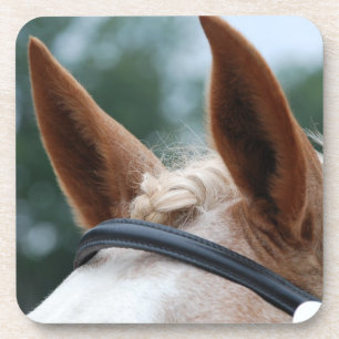 Pferdeohren Untersetzer