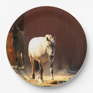 Pferdepapier-Teller Pappteller