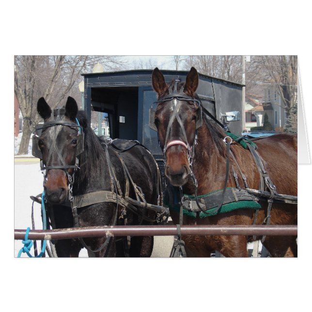 Pferdeparkplatz (Vorderseite (Horizontal))