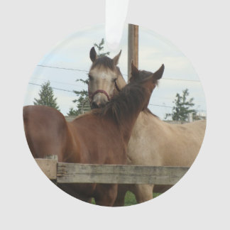 Pferdepflegen Ornament