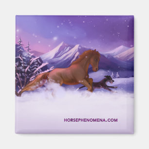 Pferdephänomene Wintermagnet Magnet