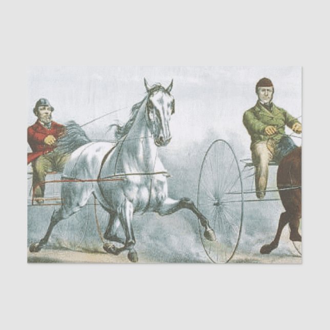 Pferdepoesie Seidenpapier (Vorderseite)