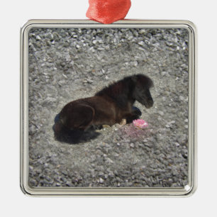 Pferdepony shetty Tierminihorse Ornament Aus Metall