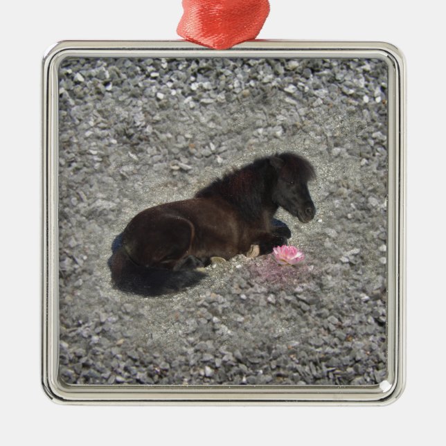 Pferdepony shetty Tierminihorse Ornament Aus Metall (Vorne)