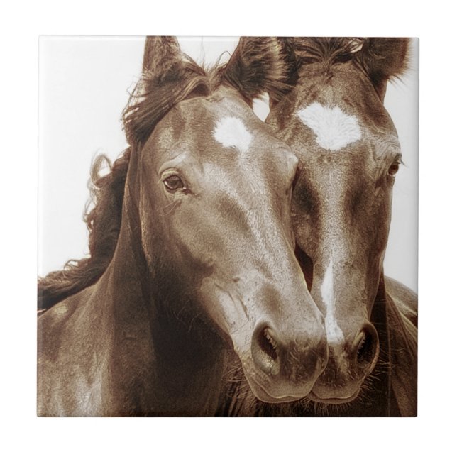 Pferdeportrait III Fliese (Vorderseite)