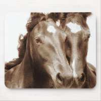 Pferdeportrait III