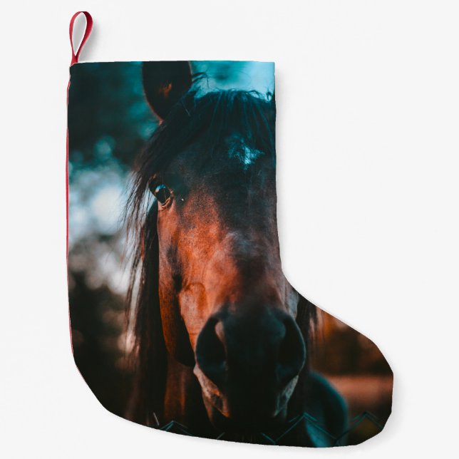 PFERDEPORTRAIT KLEINER WEIHNACHTSSTRUMPF (Vorderseite)
