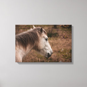 Pferdeportrait Leinwanddruck