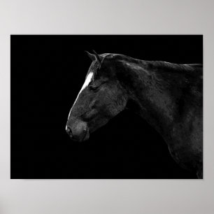 Pferdeportrait Poster