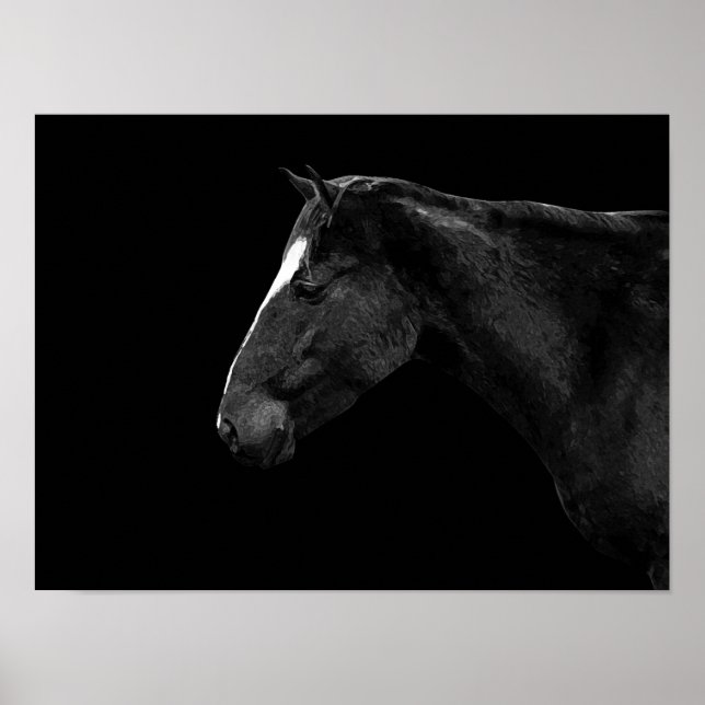 Pferdeportrait Poster (Vorne)