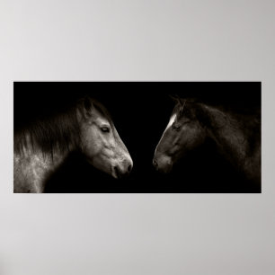 Pferdeportrait Poster