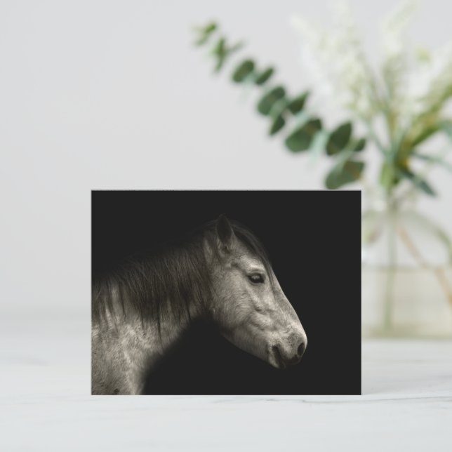 Pferdeportrait Postkarte (Stehend Vorderseite)