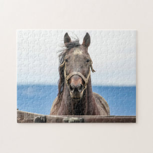 Pferdeportrait Puzzle
