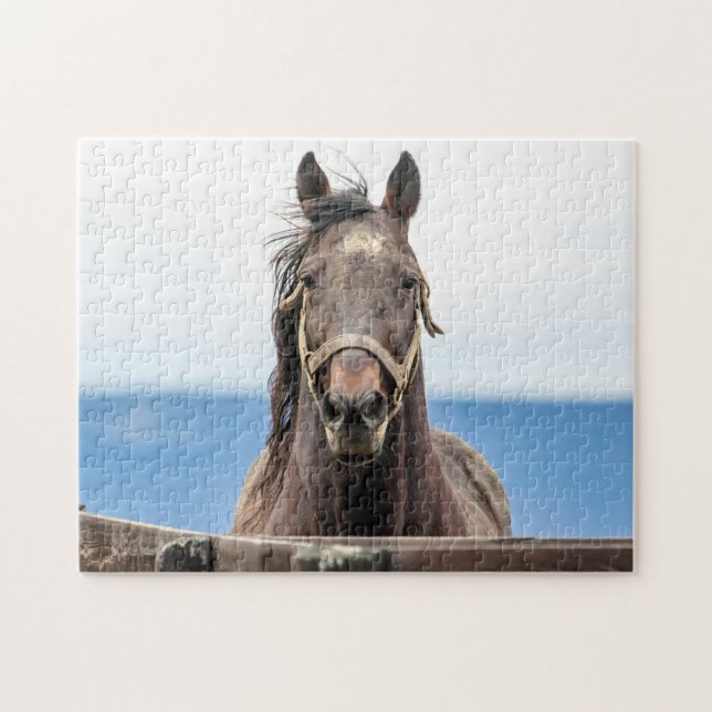 Pferdeportrait Puzzle (Horizontal)