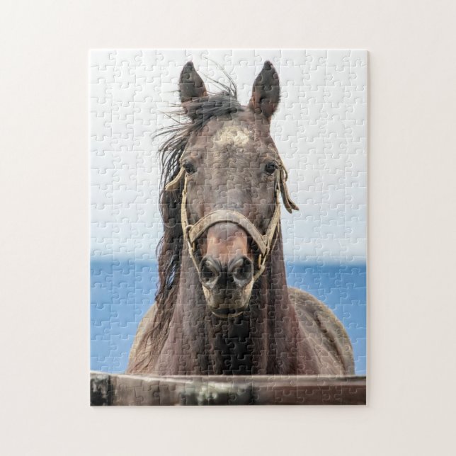 Pferdeportrait Puzzle (Vertikal)