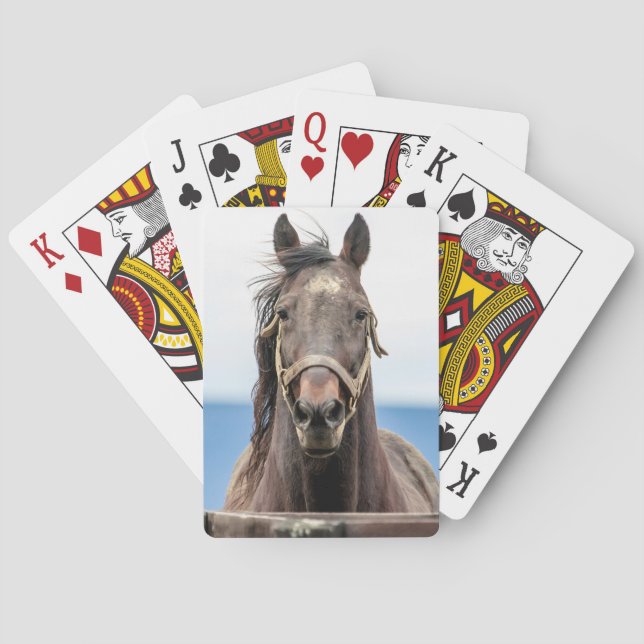 Pferdeportrait Spielkarten (Rückseite)