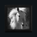 Pferdeportrait V Schmuckschachtel<br><div class="desc">Tiere</div>