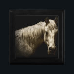 Pferdeportrait VI Erinnerungskiste<br><div class="desc">Tiere</div>