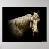 Pferdeportrait VI