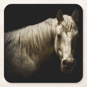 Pferdeportrait VI Rechteckiger Pappuntersetzer