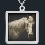 Pferdeportrait VI Versilberte Kette<br><div class="desc">Tiere</div>