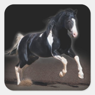 Pferdeportrait VIII Quadratischer Aufkleber