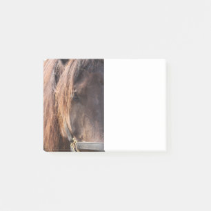 Pferdepost-itanmerkung Post-it Klebezettel