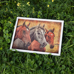 Pferdeposter für Entcoupage oder Collage Papier Poster