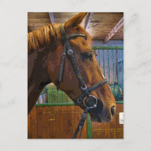 Pferdeposter Postkarte