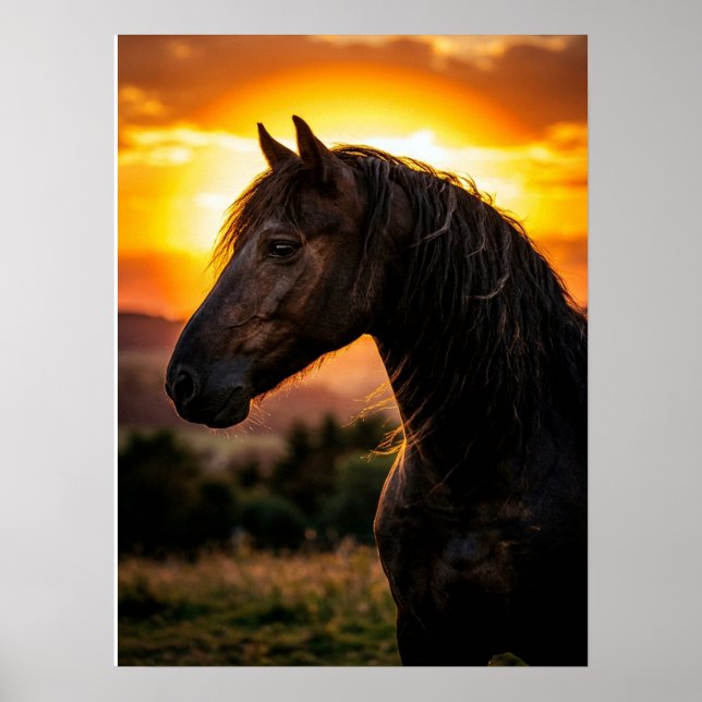 Pferdeposter Reitkunst Poster (Vorne)